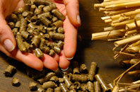free Guide Post biomass boiler quotes